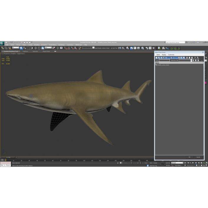 3D Sicklefin Lemon Shark