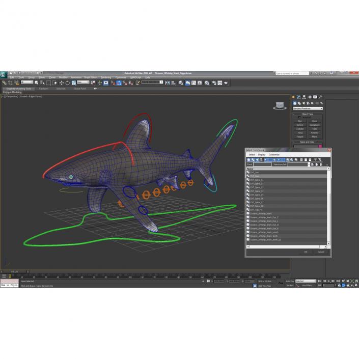 Oceanic Whitetip Shark Rigged 3D model