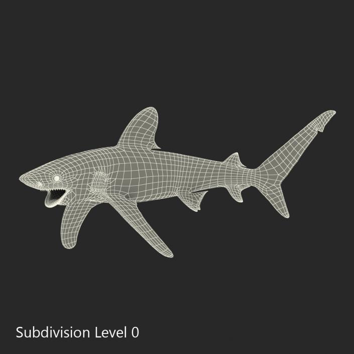 Oceanic Whitetip Shark Pose 2 3D model