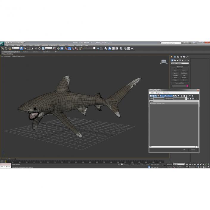 Oceanic Whitetip Shark Pose 2 3D model