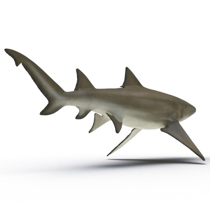 3D Sicklefin Lemon Shark Rigged model