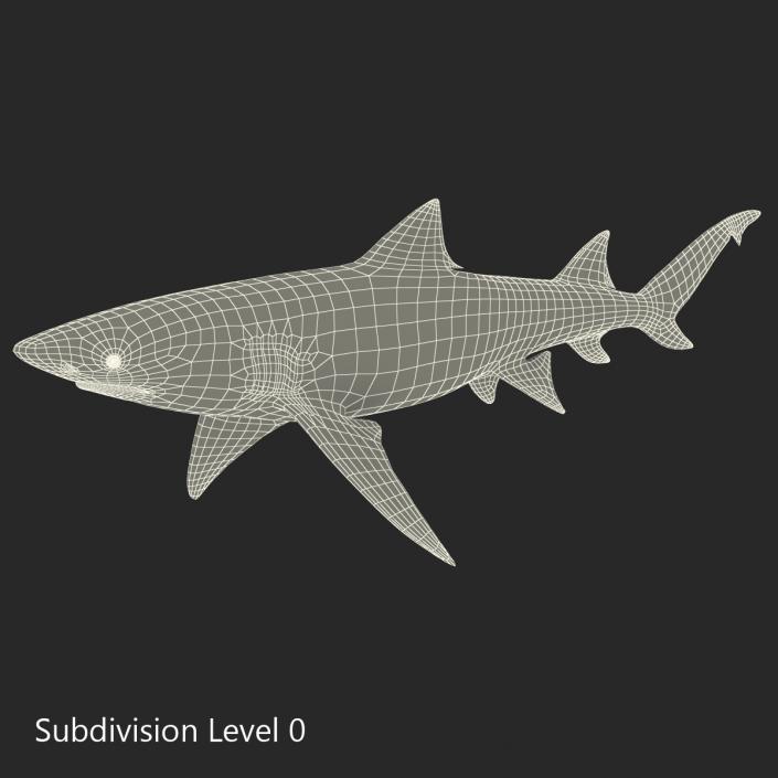 3D Sicklefin Lemon Shark Rigged model