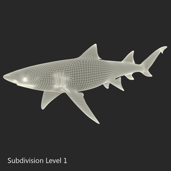 3D Sicklefin Lemon Shark Rigged model