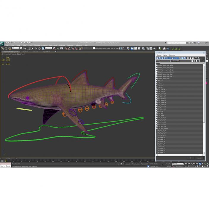 3D Sicklefin Lemon Shark Rigged model