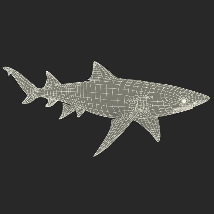 3D Sicklefin Lemon Shark Rigged model