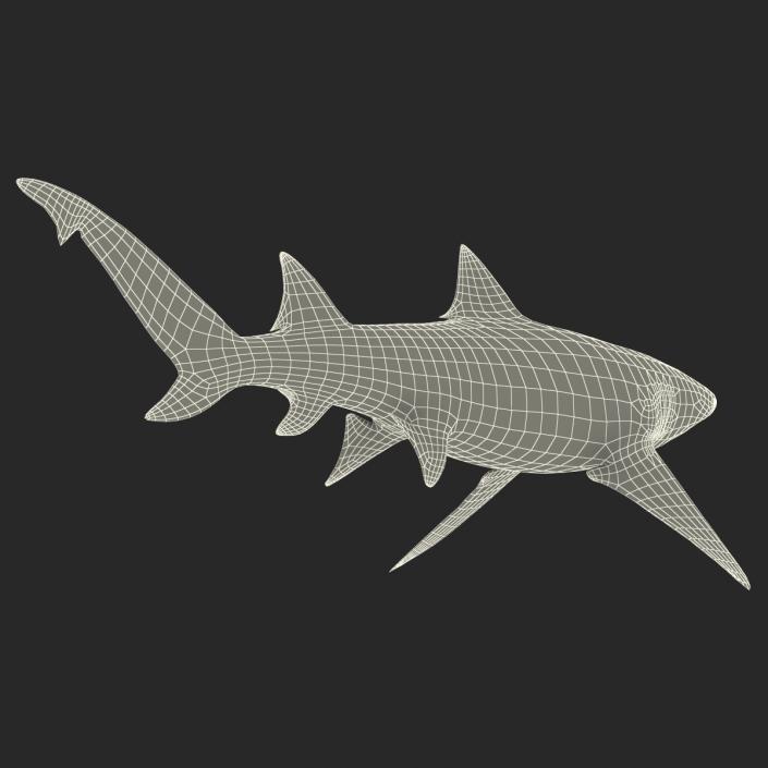 3D Sicklefin Lemon Shark Rigged model