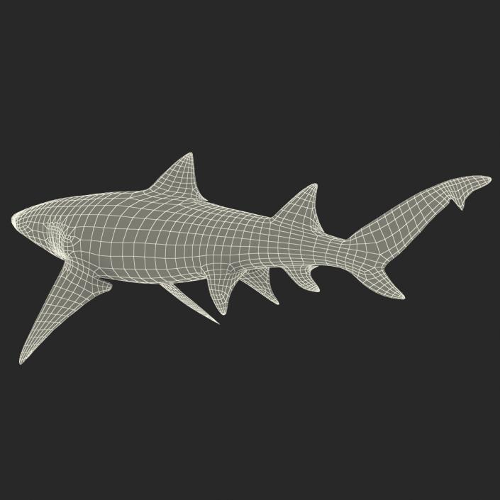 3D Sicklefin Lemon Shark Rigged model