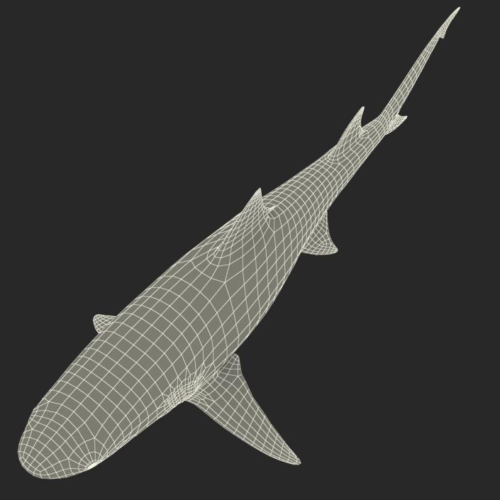 3D Sicklefin Lemon Shark Rigged model