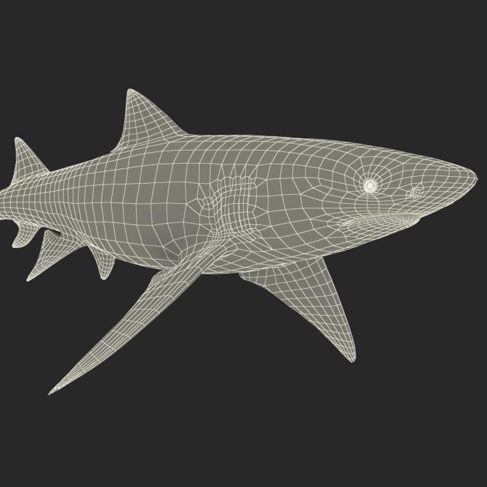 3D Sicklefin Lemon Shark Rigged model