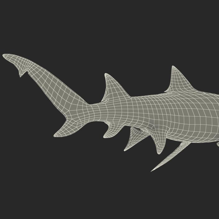 3D Sicklefin Lemon Shark Rigged model