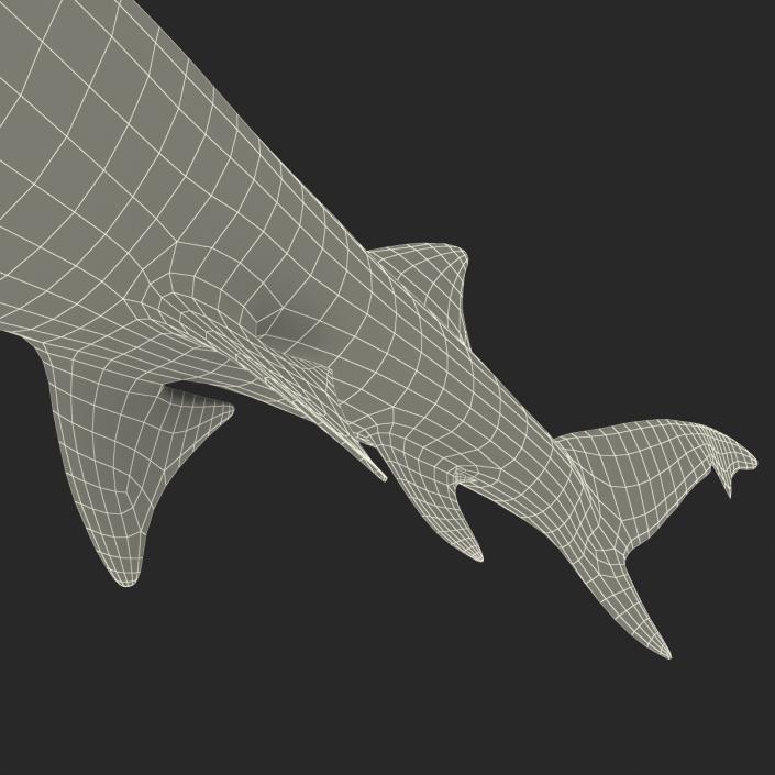 3D Sicklefin Lemon Shark Rigged model