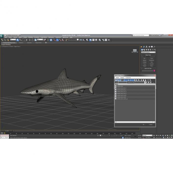 3D model Smalltail Shark