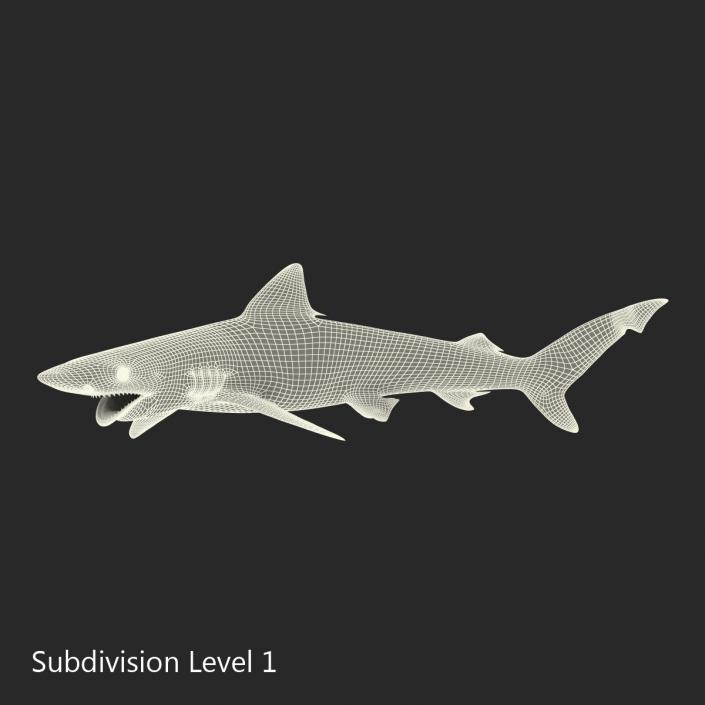 Smalltail Shark Pose 2 3D