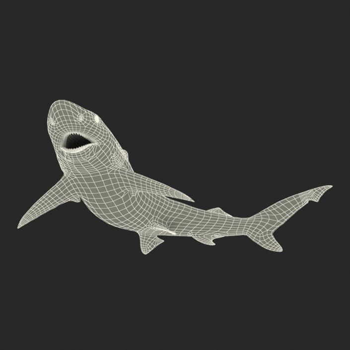 Smalltail Shark Pose 2 3D