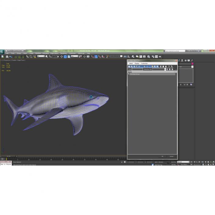 3D model Bull Shark