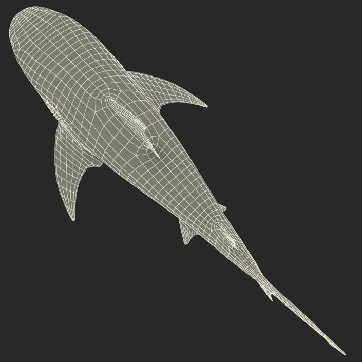 3D model Bull Shark