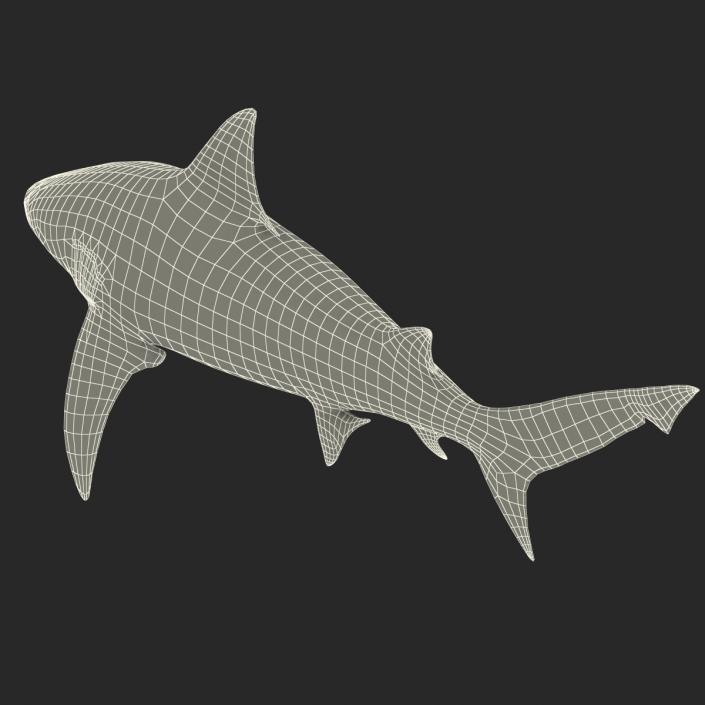 3D model Bull Shark