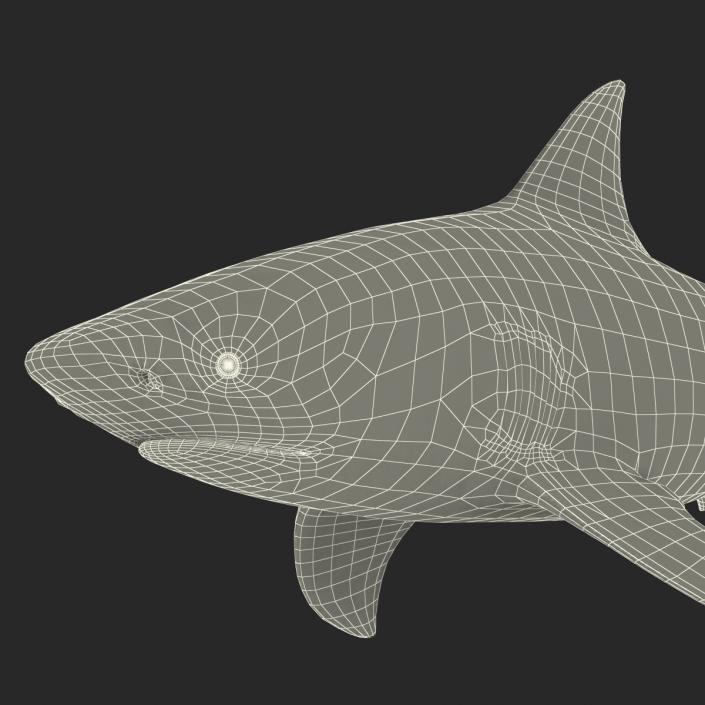 3D model Bull Shark