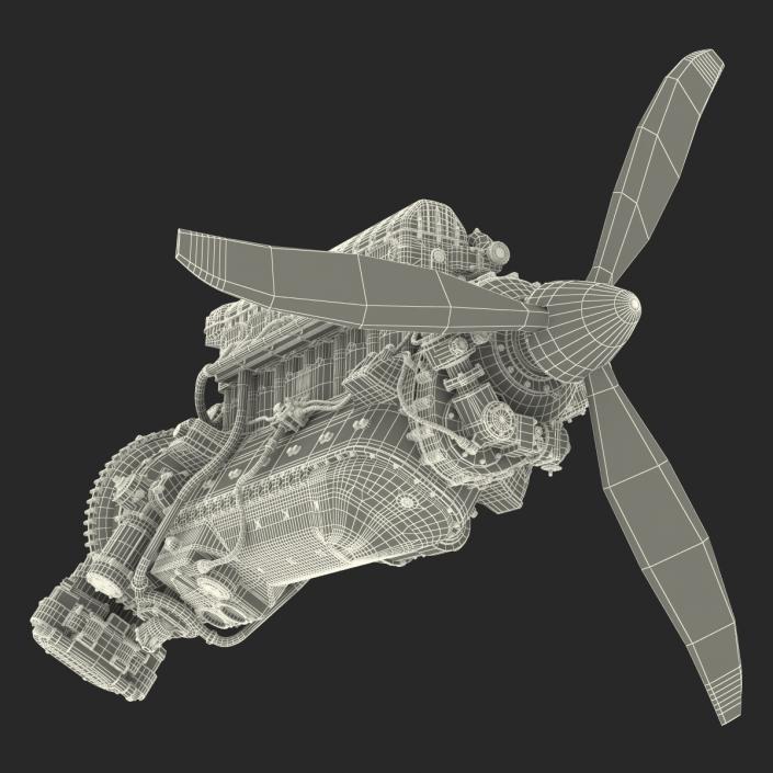 3D model Piston Aero Engine 2