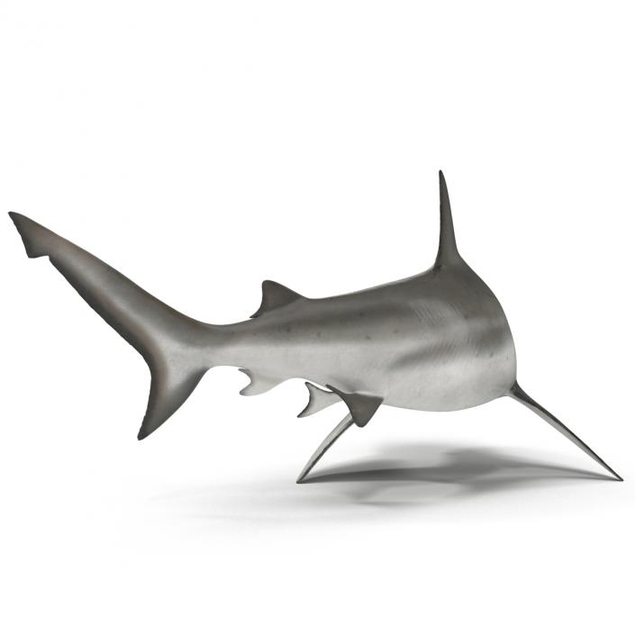 Bull Shark Pose 2 3D