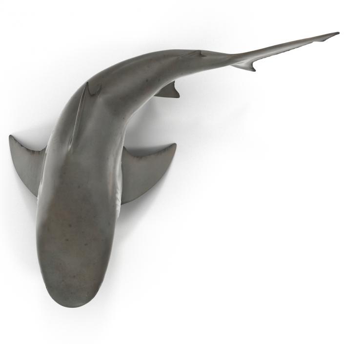 Bull Shark Pose 2 3D