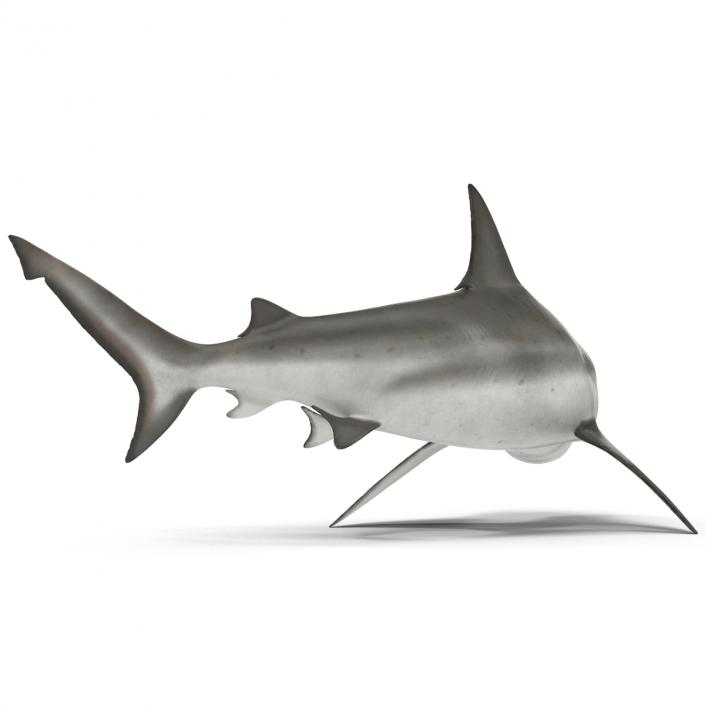 Bull Shark Pose 2 3D