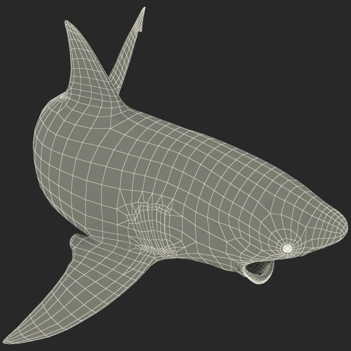 Bull Shark Pose 2 3D