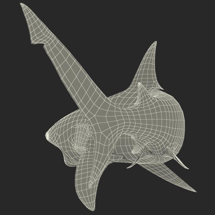 Bull Shark Pose 2 3D