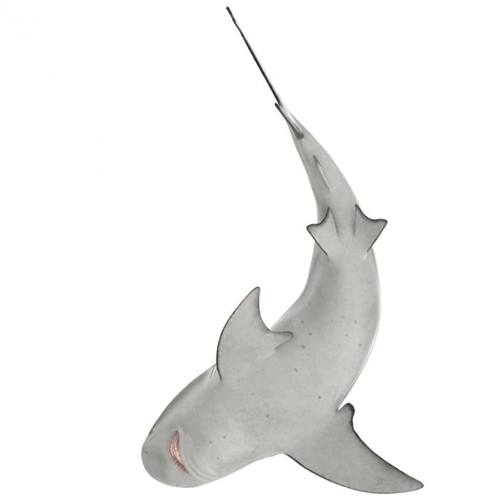 Bull Shark Rigged 3D