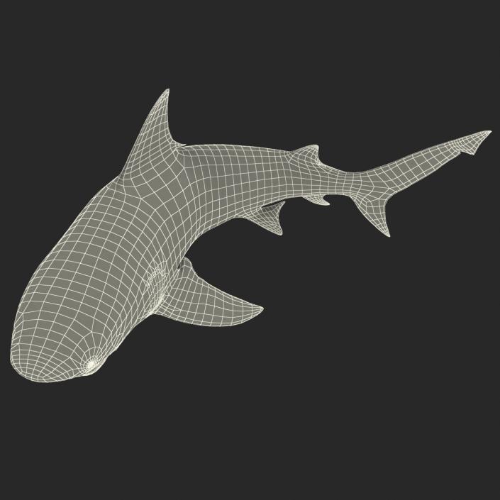 Bull Shark Rigged 3D