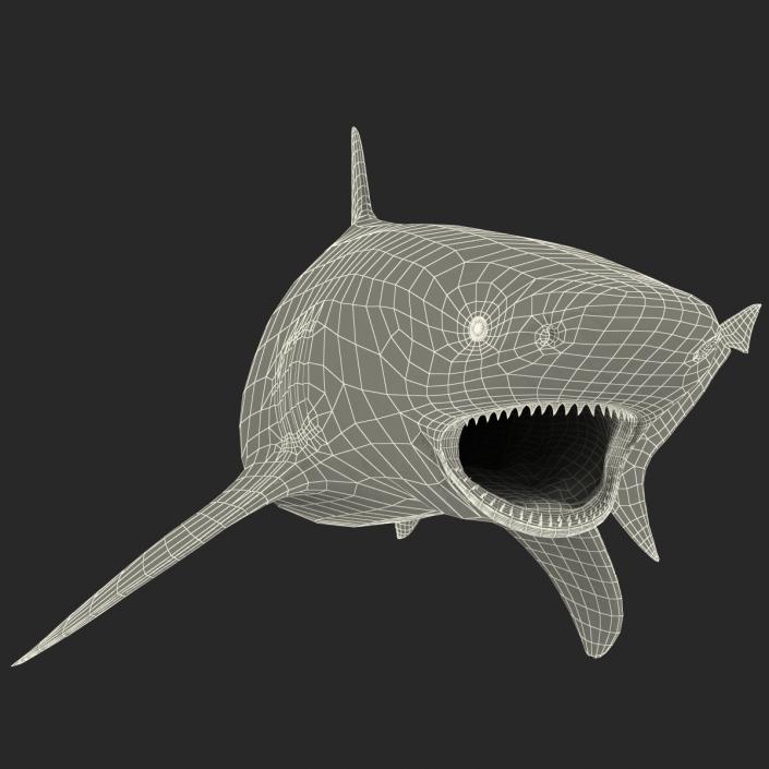 Bull Shark Rigged 3D