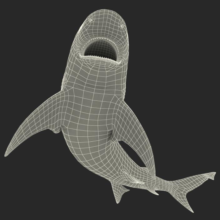 Bull Shark Rigged 3D