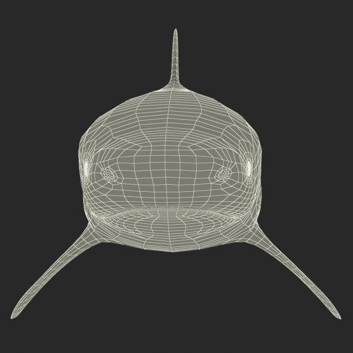 Bull Shark Rigged 3D