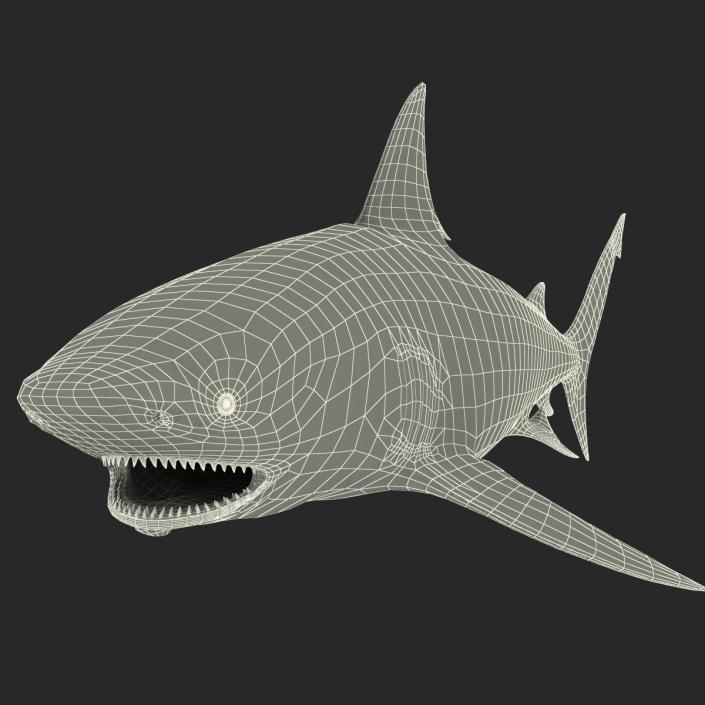 Bull Shark Rigged 3D