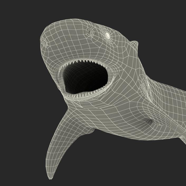 Bull Shark Rigged 3D