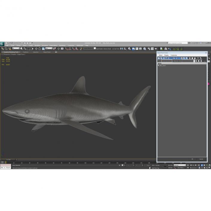 3D Silky Shark