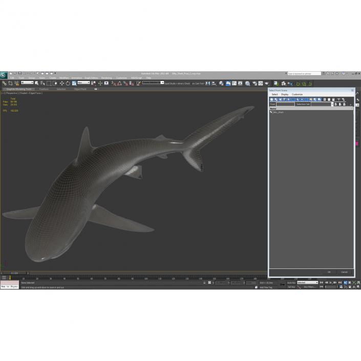 3D Silky Shark Attacking Pose