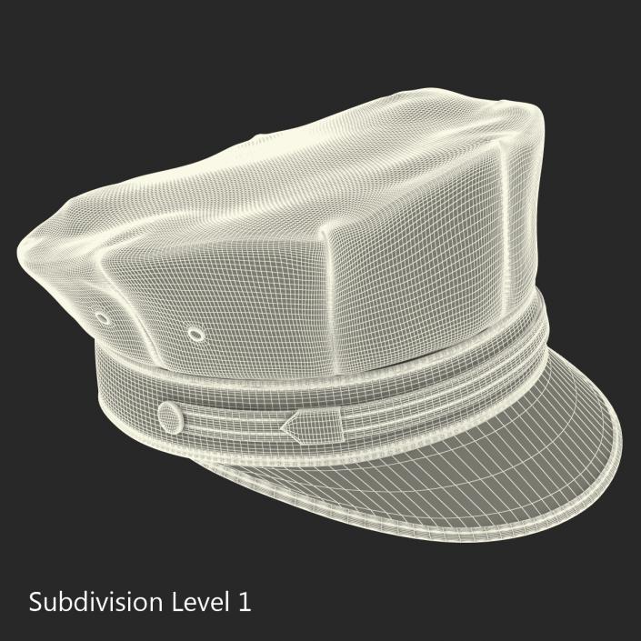 Police Hat 2 3D