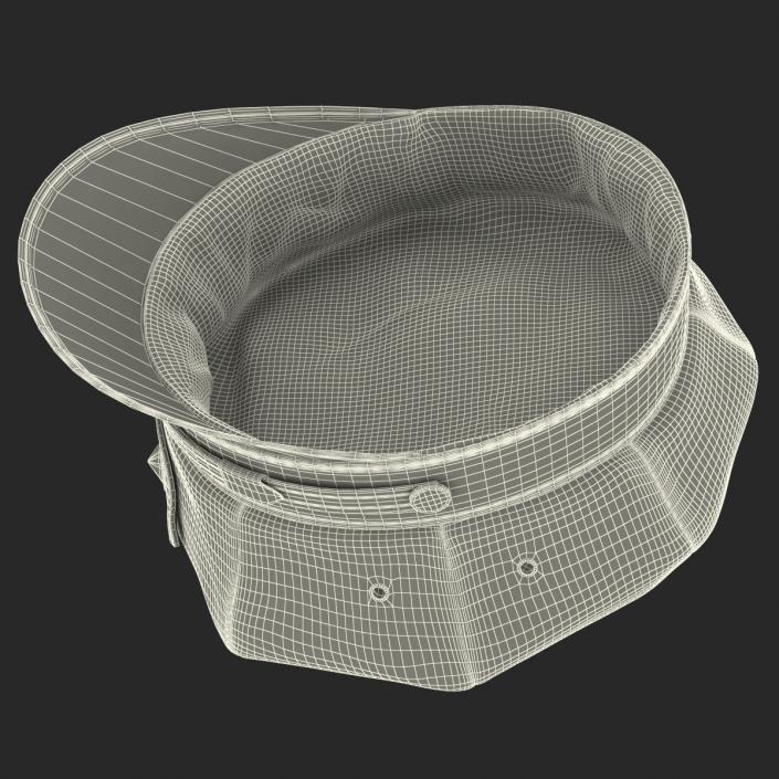 3D Special Police Hat model