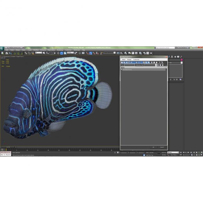 3D Juvenile Emperor Angelfish Pose 2 model