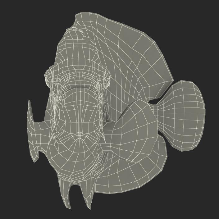 3D Juvenile Emperor Angelfish Pose 2 model