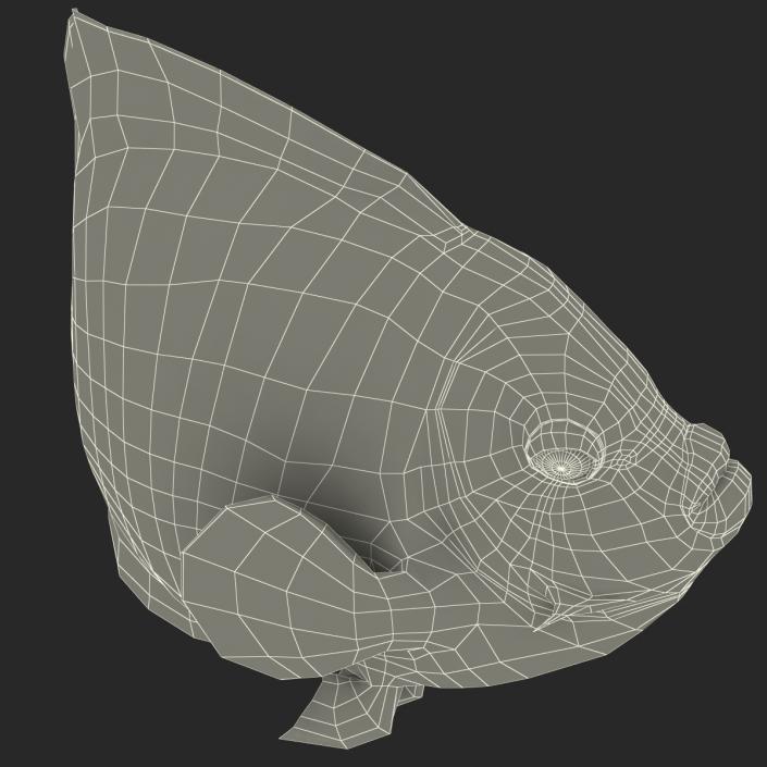 3D Juvenile Emperor Angelfish Pose 2 model