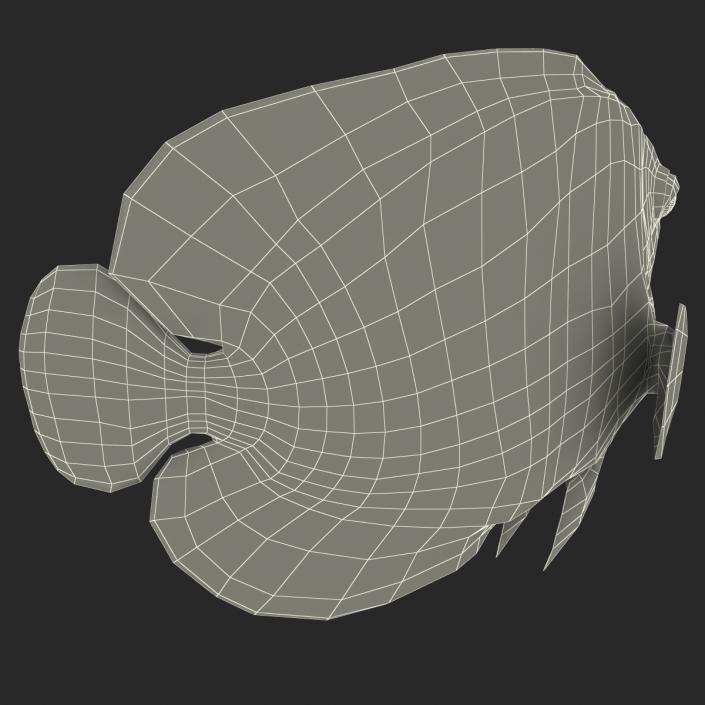 3D Juvenile Emperor Angelfish Pose 2 model