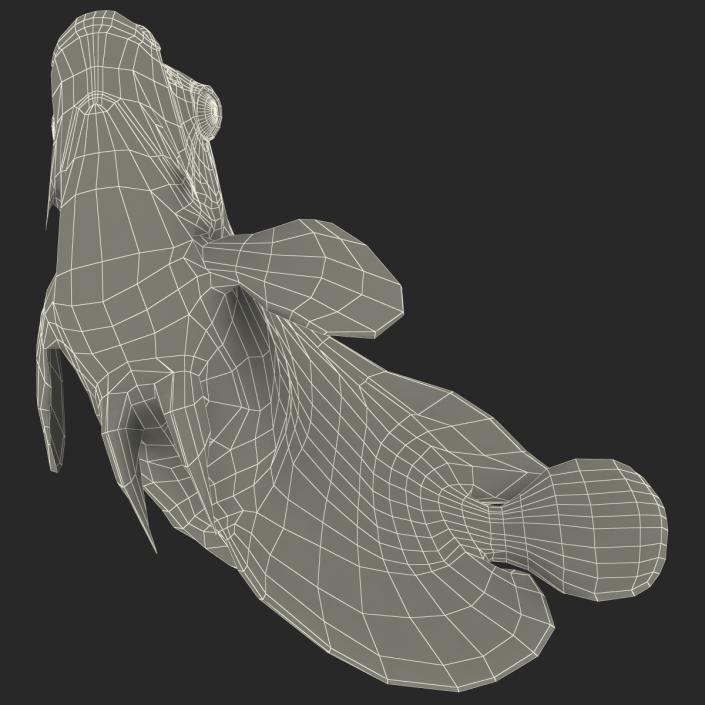 3D Juvenile Emperor Angelfish Pose 2 model