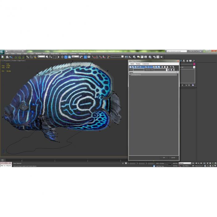 3D Juvenile Emperor Angelfish Rigged model