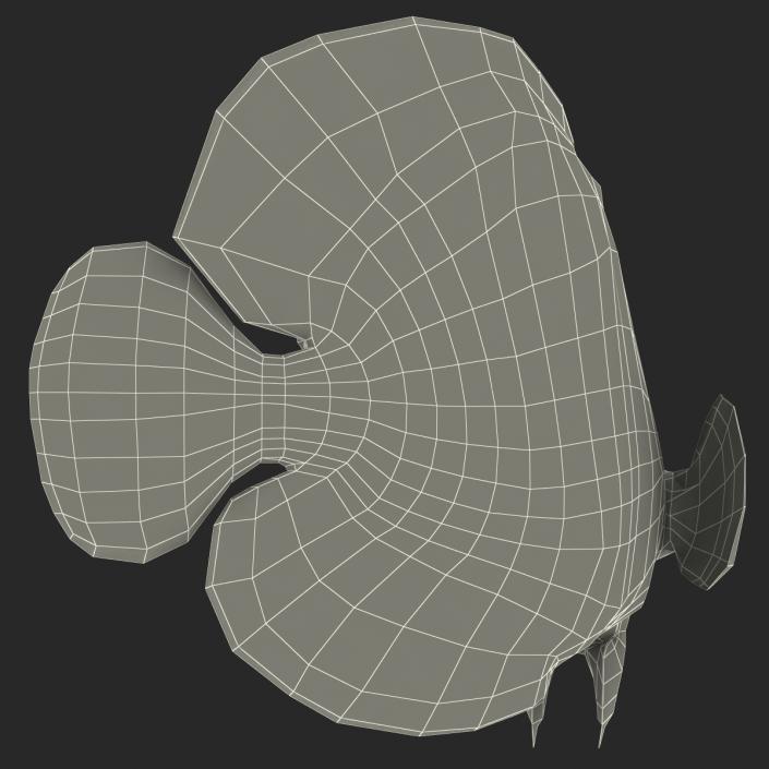 3D Juvenile Emperor Angelfish Rigged model