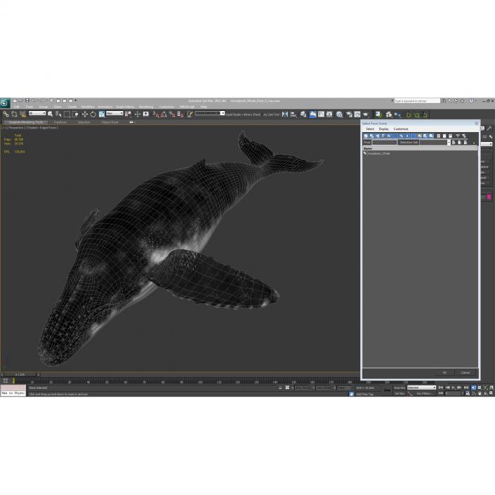 3D Humpback Whale Pose 3