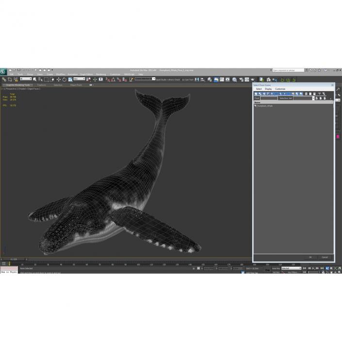 3D Humpback Whale Pose 2