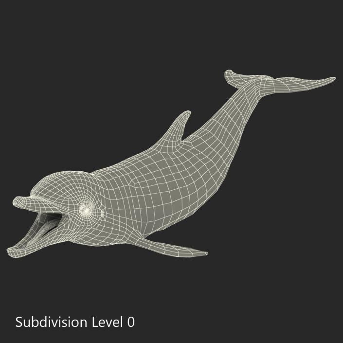 Dolphin Pose 3 3D model