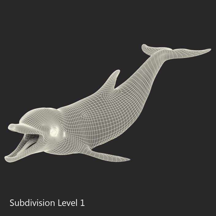 Dolphin Pose 3 3D model